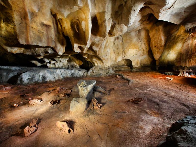 La Grotte Chauvet 2 - Ardèche